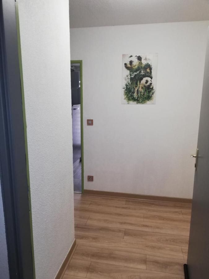 Grand T3 Avec Clim, Parking Et Terrasse Privative - Agen Exterior foto
