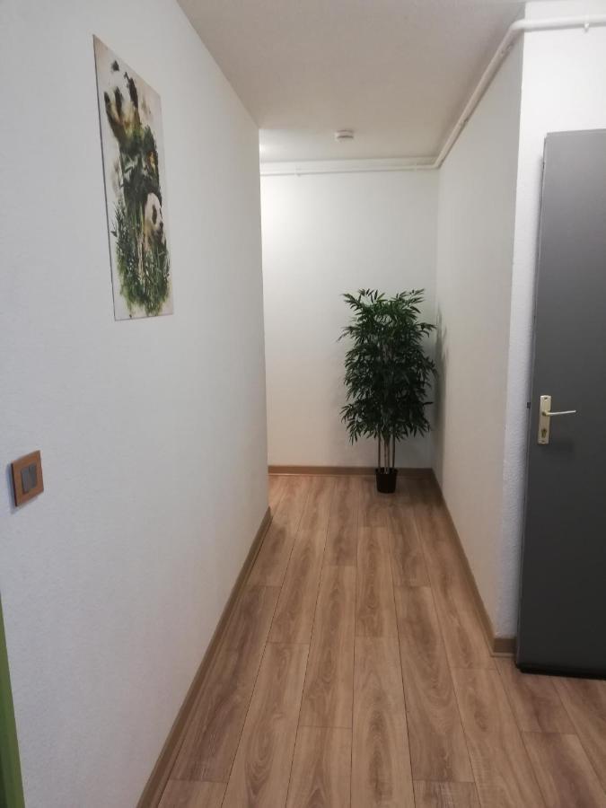 Grand T3 Avec Clim, Parking Et Terrasse Privative - Agen Exterior foto